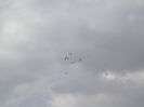Picture 015