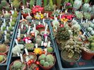 DSC01170