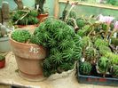 DSC01173