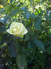 2013-06-01 08.39.50
