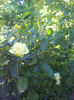 2013-06-01 08.39.58
