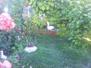 2013-06-01 08.41.43