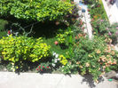 2013-06-01 12.57.01