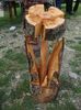 DSCF0473