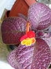 DSCF0964