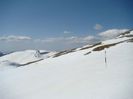 DSC00254