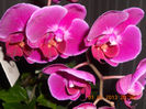 DSCN3381