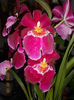 DSCN3382