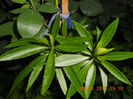 DSCN3374