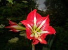 DSCN4271