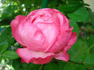 DSC08047
