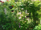 DSC08207