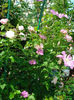 DSC08101