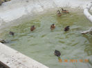 DSCN4023