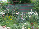 DSCF1547