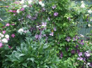 DSCF1556