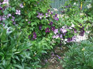 DSCF1596