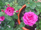 DSCF1588