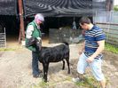 20130602_122915