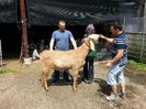 20130602_124800