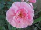 065