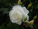 098