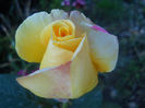046