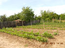 DSCN8094