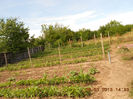 DSCN8095