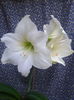2013-05-31 20.22.45