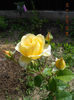 DSCN8111