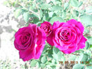 DSCN8112