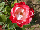 DSCN8125