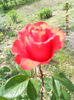 DSCN8148