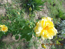 DSCN8150