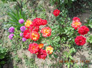 DSCN8151