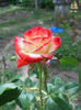 DSCN8152