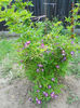 DSCN8157