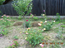 DSCN8159