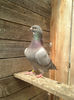 Picture 022