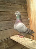 Picture 024