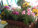Jardiniera cu flori carora le place soarele