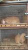 SAM_5049