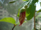 DSC07176