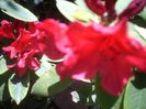 DSCN2744[1]