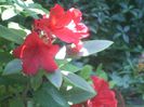 DSCN2746[1]