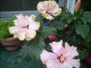 DSCN2738[1]