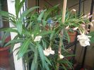 DSCN2749[1]