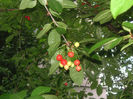 SANY0015