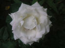 SANY0016